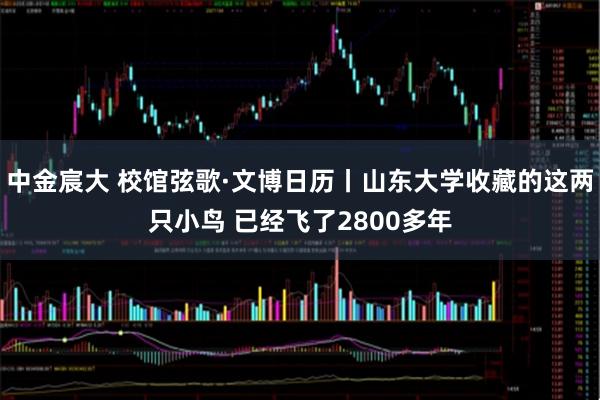 中金宸大 校馆弦歌·文博日历丨山东大学收藏的这两只小鸟 已经飞了2800多年