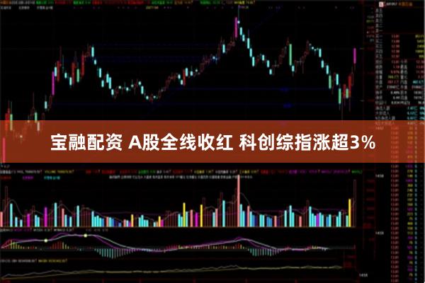 宝融配资 A股全线收红 科创综指涨超3%